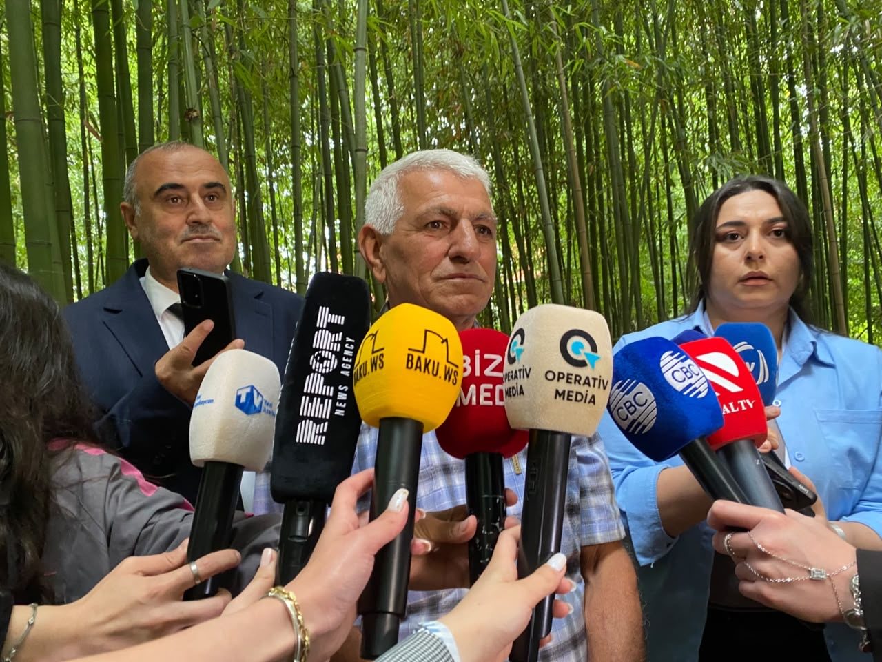 Sakin: 5 bambuk olan ərazi indi 32 hektarlıq plantasiyadır
