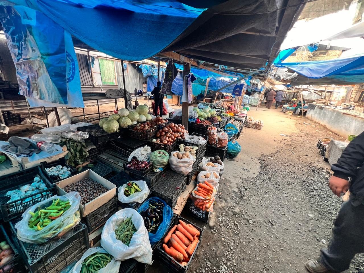 Şəmkirdə bazarda ciddi nöqsanlar aşkarlanıb - FOTOLAR