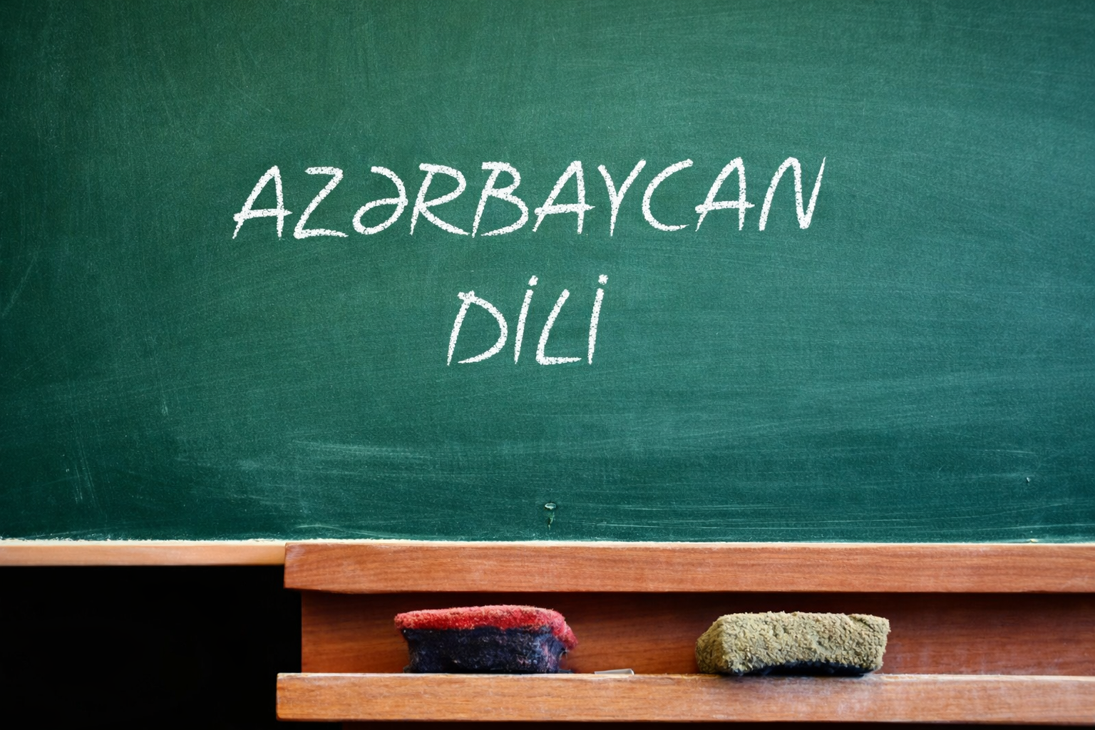Xarici soydaşlarımız üçün “Ana dili – Azərbaycan məktəbi” layihəsinə qeydiyyat başlayıb - VİDEO