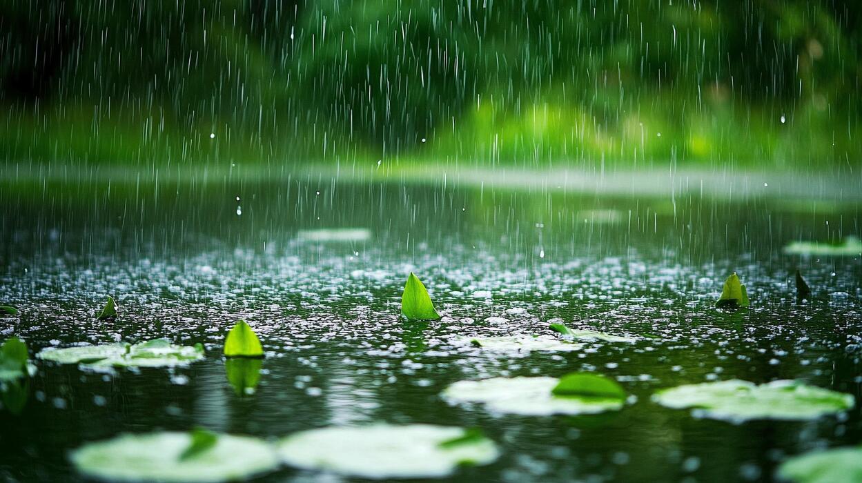 Yağıntılı hava şəraiti davam edib, şimşək çaxıb - FAKTİKİ HAVA