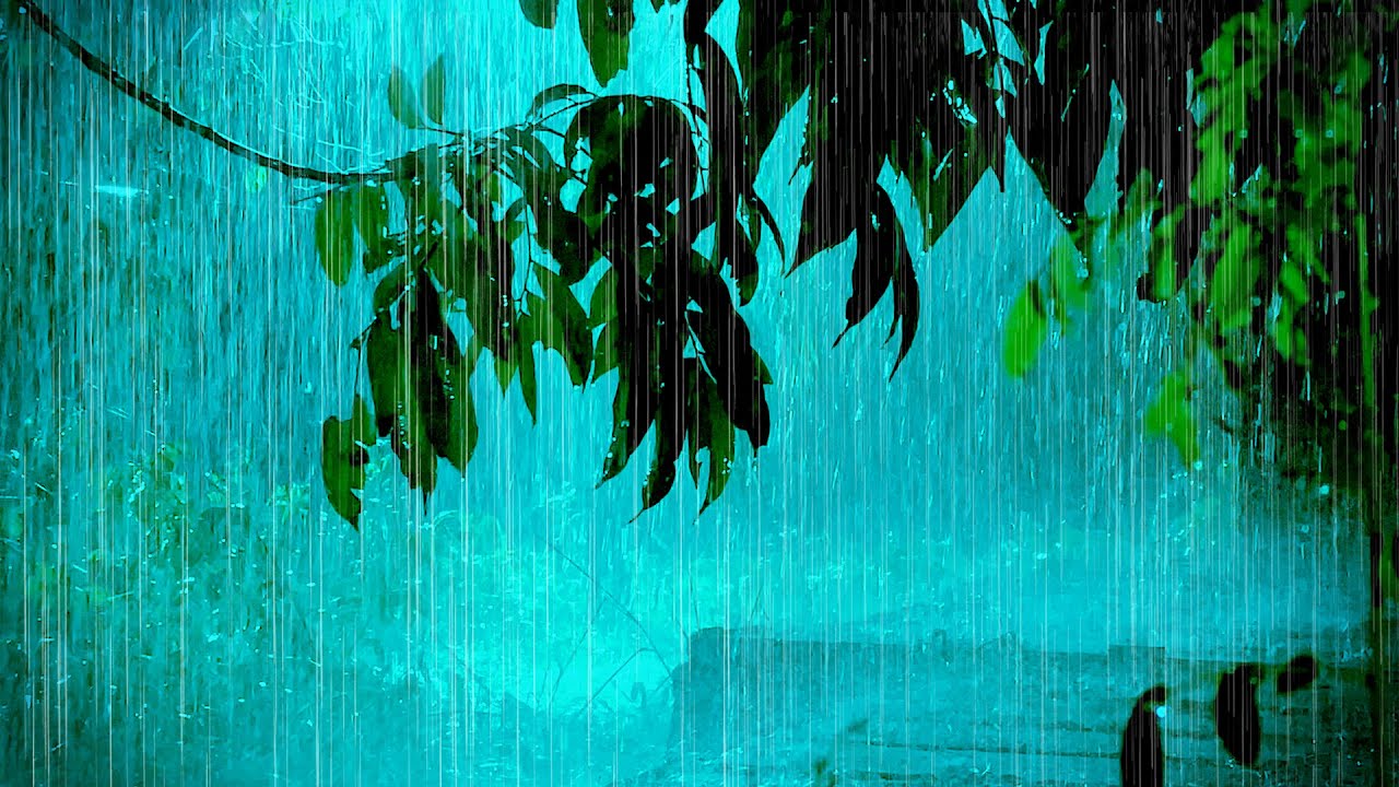 Sabah havanın arabir yağıntılı olacağı gözlənilir