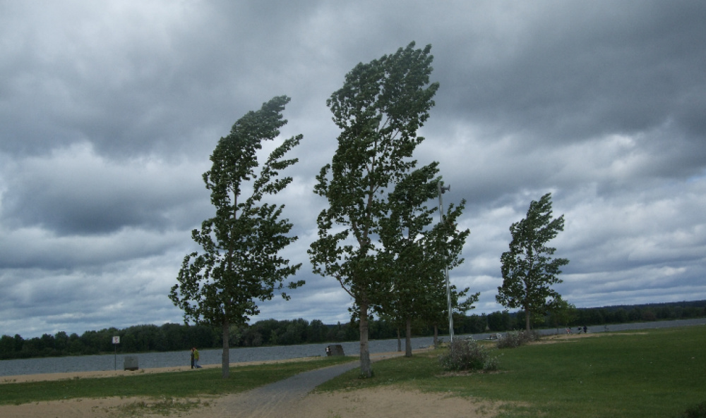 Hazırda bir sıra ərazilərdə şimal-qərb küləyi əsir - FAKTİKİ HAVA