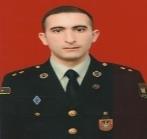 Məmmədov Kənan Nifdalı