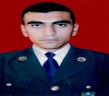 Məmmədov Məhyəddin Yaşar