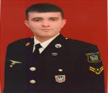Məmmədov Tural Arif