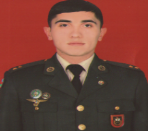 Məmmədzadə Elvin İlham