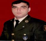 Qarayev Tural Şahin