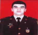 Qəhrəmanov Elməddin Niyaməddin