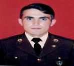 Qurbanlı Elvin Mehman