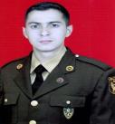 Abbasov Bəşir Nizami