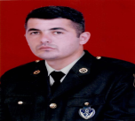 Süleymanov Elçin Tehran