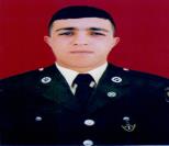 Salahov Kamil Mətləb
