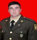 Salmanov Razik Telman