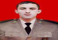 Şəfiyev Rəşad Vaqif
