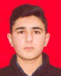 Seyfullayev Araz Elsevər