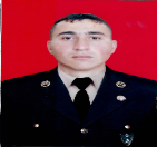 Vəlixanov Rövşən Aydın