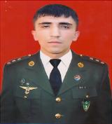 Əlimov Elvin Nəsrəddin
