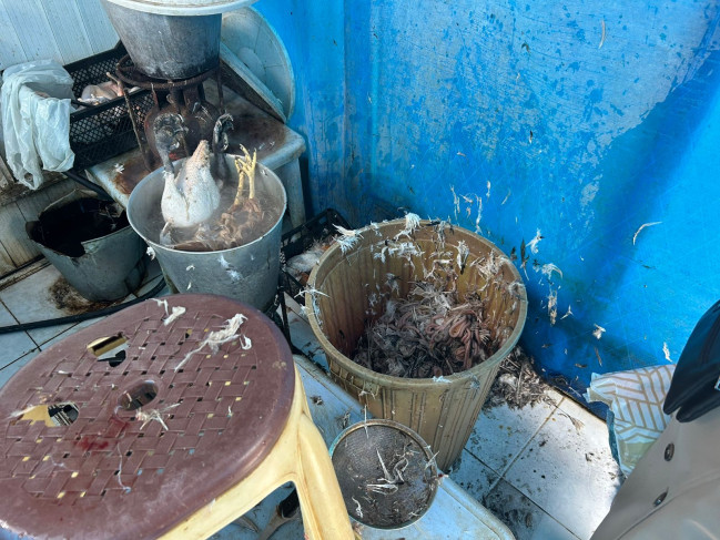 Saatlı, Lənkəran və Şəki rayonlarında yerləşən ərzaq bazarlarında monitorinqlər aparılıb