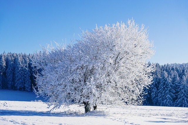 31 dekabrın hava proqnozu açıqlanıb