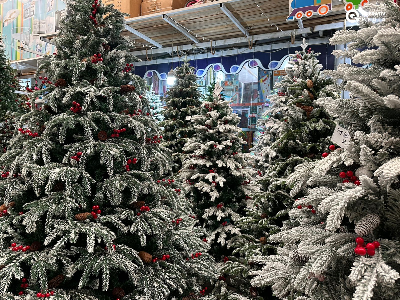 Bu il yolka qiymətləri ucuzlaşıb? - MƏBLƏĞLƏR